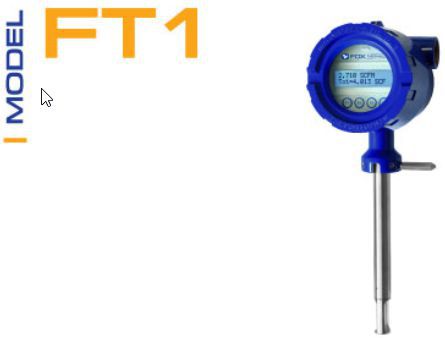 ĐỒNG HỒ ĐO LƯU LƯỢNG FT1 - Flow Meter FT1