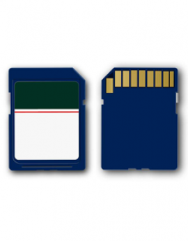 SD001G00 1GB SD Card - SD001G00 Red lion